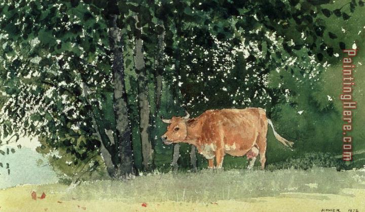 Winslow Homer Cow in Pasture